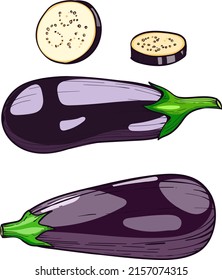 vegetal de berenjena, berenjena madura vectorial aislada sobre fondo blanco