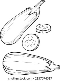 eggplant vegetable, Vector ripe eggplant isolated on a white background