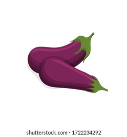 Eggplant vegetables, isolated on white background. Vector flat illustration.