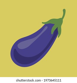 Eggplant vegetables object in vector illustration