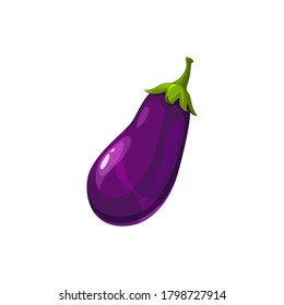 Eggplant veggie food in realistic design isolated. Vector purple ripe aubergine vegetable, Guibea squash. Fruit of brinjal edible vegetarian food, farm and agriculture product. Common aubergine