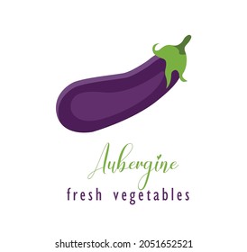 Eggplant veggie food in realistic design isolated. Vector purple ripe aubergine vegetable, Guibea squash. Fruit of brinjal edible vegetarian food, farm and agriculture product. Common aubergine