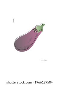 Eggplant in violet color. Vegetarian, vegan, healthy food. Hand drawn. Gradient. Color. Vocabulary. Vector illustration. Isolated on white.