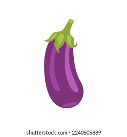 Planta de huevos con ilustración vectorial de vitamina C. Dibujo de dibujos de antioxidante orgánico enriquecido, berenjena. Comida, nutrición, concepto de dieta