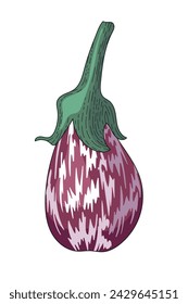 Eggplant with white and purple stripes. Vector realistic illustration. A vegetable for proper nutrition. An illustration for a cooking recipe. Vegetarian food. Cooking. Growing plants. Harvest.
