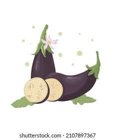 Eggplant, whole fruit and slices. Vector illustration cartoon flat icon isolated on white background. Fresh vegetables. 