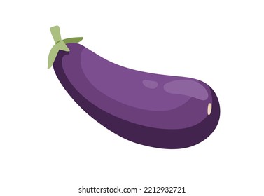 Eggplant, whole purple vegetable. Fresh raw aubergine, natural veggie fruit. Healthy organic food. Flat cartoon vector illustration isolated on white background