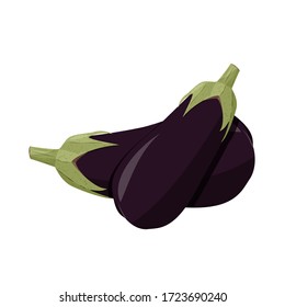 Eggplant whole realistic image. Vector illustration isolated on white background.