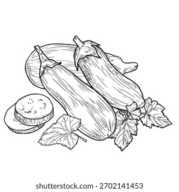 Eggplant, whole and sliced, sketch. Vector illustration. Rustic vegetables and leaves, isolated on a white background. For recipes, farmers' market, country fair and shop, menus and cookbooks