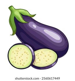 Eggplant, whole and sliced, vector illustration isolated on white background, eps10