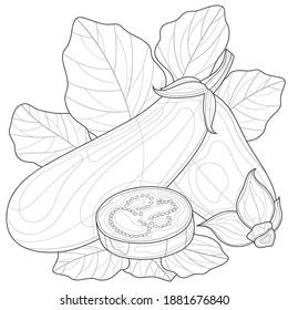 Eggplant.Coloring book antistress for children and adults. Illustration isolated on white background.Zen-tangle style. Black and white drawing