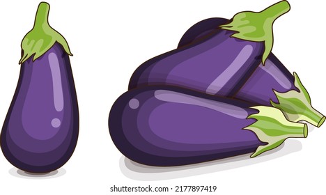 Eggplants for banners, flyers, posters, social media. Aubergine, brinjal, nightshade family. Fresh organic vegetables. Cartoon style. Vector illustration isolated on white background.