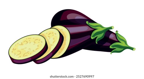 Eggplants in cartoon style. Vector illustration of healthy eggplant vegetables: whole, half, slices isolated on white background. Purple eggplants with seeds, green stems.