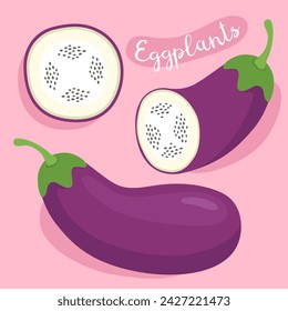 Eggplants. Fresh organic vegetable. Eggplant with slices. Ingredient for cooking. Vector illustration. 
