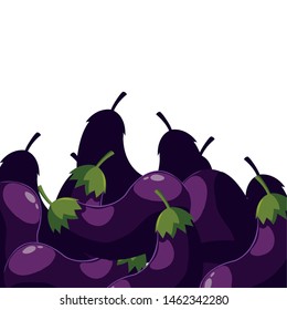 eggplants fresh vegetable white background