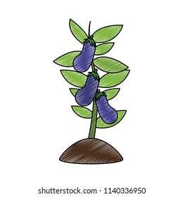 Eggplants harvest cartoon scribble