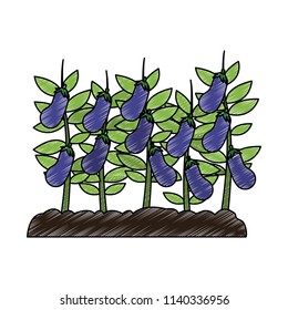 Eggplants harvest cartoon scribble