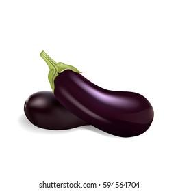 Eggplants isolated on white background, vector illustration.