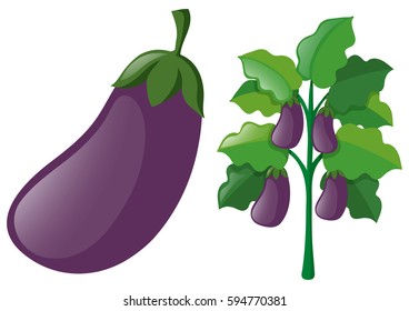 Huevos en la ilustración del árbol