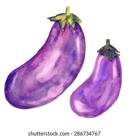 Eggplants set - vector watercolor hand painted illustration
