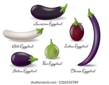 Eggplants varieties. Purple american chinese italian white green thai red indian aubergines, 3d fresh isolated brinjal garden vegetables, photo realistic ripe guinea squash types