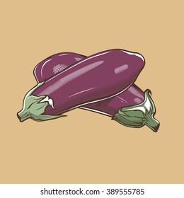 Eggplants in vintage style. Colored vector illustration
