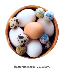 eggs