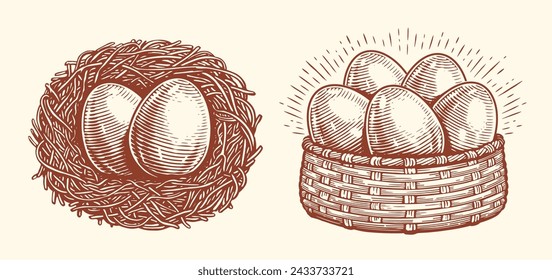 Eggs in basket, nest. Farm organic food. Hand drawn sketch vector illustration