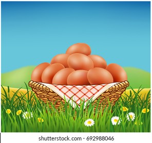eggs in basket on summer field with daisy flowers