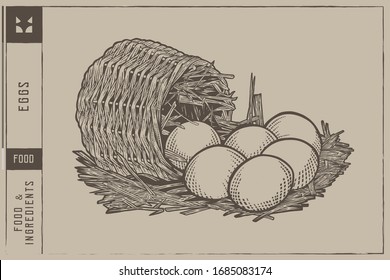 Eggs in the basket Vector illustration on a branch - Hand drawn - Out line