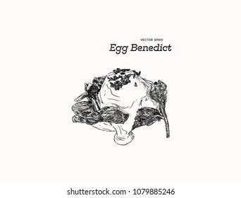 Eggs benedict or eggs florentine, English muffins, spinach , poached eggs, and delicious buttery hollandaise sauce. Hand draw sketch vector for cafe and restaurant.