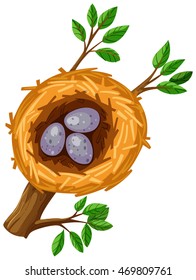 Eggs in bird nest illustration