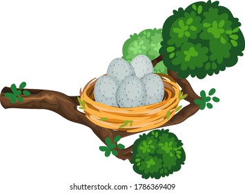 Eggs in the bird nest on tree branch illustration