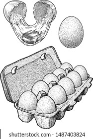 Eggs in cardboard box and broken egg illustration, drawing, engraving, ink, line art, vector