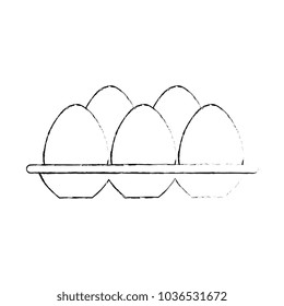 eggs carton isolated icon