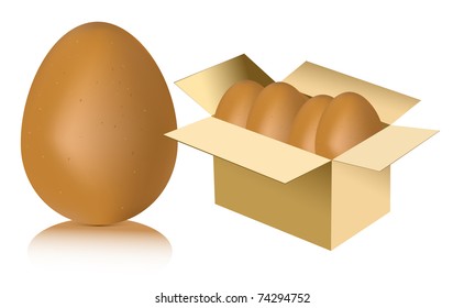 Eggs in carton o white background