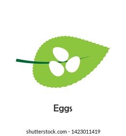 Eggs in cartoon style, insect card for kid, preschool activity for children, vector illustration