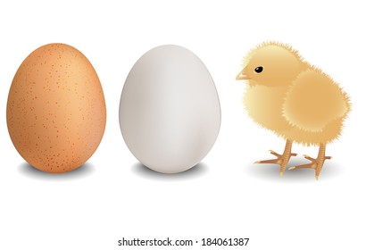 Eggs and chicken