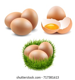 Eggs Collection Gradient Mesh, Vector Illustration