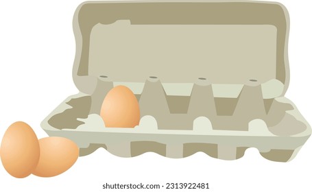 eggs with egg tray in recyclable cato-