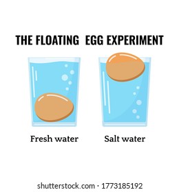 Eggs floating in water transparent glass isolated on white background. Floating egg experiment. Two eggs in salt and fresh water on different water level. Vector flat design cartoon style illustration