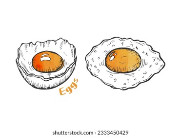 Eggs hand-drawn vector. Two different shape eggs, cracked egg and sunny side up egg vector illustration.