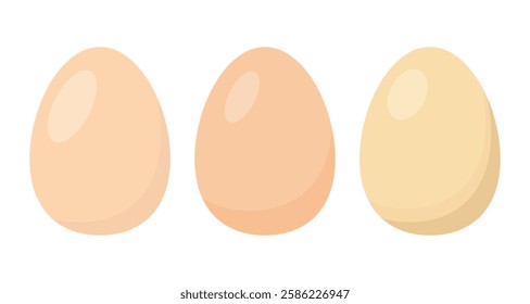 Eggs isolated on white background.Set of chicken egg vector graphic illustration.