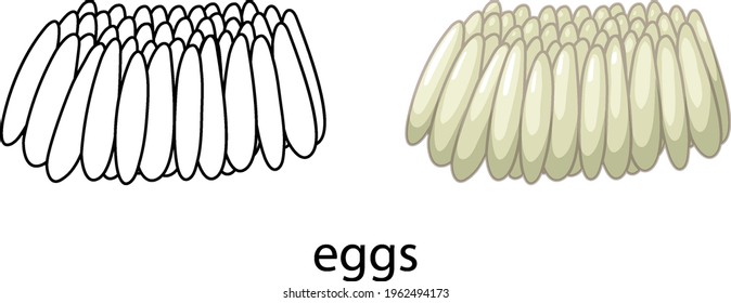 Eggs of mosquito in colour and doodle isolated illustration