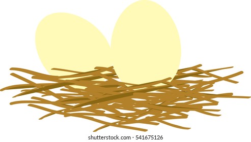 Eggs in a nest