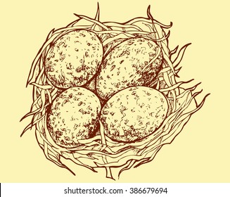 The eggs in the nest - colored vector illustration