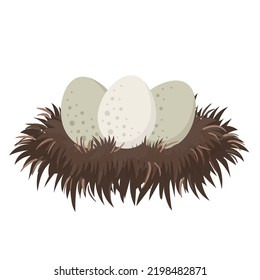 eggs in nest flat vector illustration clipart isolated on white background