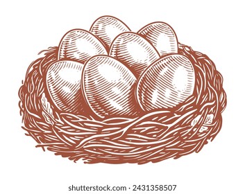 Eggs in the nest. Hand drawn sketch vintage vector illustration sstkEaster