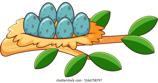 Eggs in nest on white background illustration