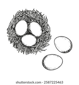 Eggs in the nest sketch outline illustration. Eggs doodle drawing in engraving style top view. Hand drawn vector line art clipart